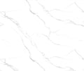 Arctic Calacatta - XL Panel